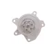 Помпа води Nissan Juke 1.6DIG-T 10-/Qashqai/X-Trail 1.6DIG-T/2.0 15-/Tiida 1.6/1.8 12- (R/B) (6 лоп)