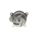 Помпа води Ford Transit 2.0TDCi 15-/Galaxy/S-Max 2.0 Ecoblue 18- (R/B) (5 лоп.) (3 кан)