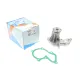 Помпа води GRAF PA612 для Ford Fiesta, Focus, Fusion, Mazda 2, Volvo C30 1.25-1.6 95-