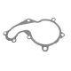 Помпа води GRAF PA742 для Ford Focus/Transit/Mondeo 1.8DI/TDCi 1999-2015, 6 лопатей