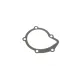 Помпа води GRAF PA861 для Citroen C4/Jumpy 2.0-2.2HDi, Fiat Scudo 2.0D, Ford Focus 2.0TDCI 19z