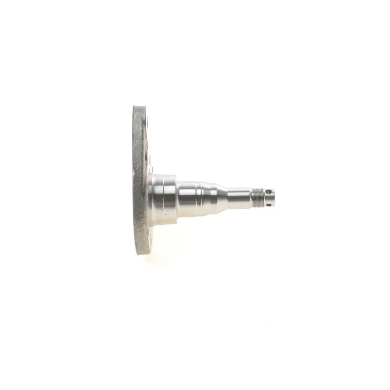 Кулак поворотний (цапфа) VW Passat 84-96/Golf 85-99 (L) (задній)