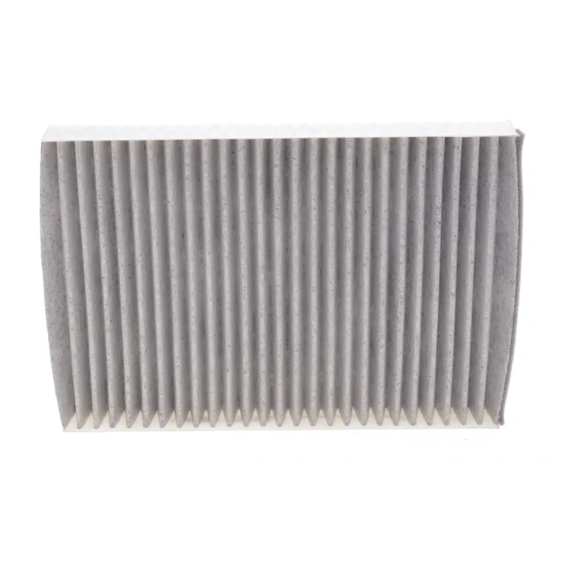 Фільтр салону HENGST FILTER E2919LC-2 вугільний для Mercedes-Benz S-Class W221, CL C216 2005-2013, 263x183x30 мм