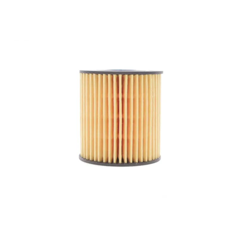 Фільтр масляний HENGST FILTER E44H D110 для Ford Transit, Citroen Jumper 2.2HDI/2.4TDCi 06-, Peugeot 2.0HDI 03-