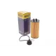 Фільтр масляний HENGST FILTER E833H D321 для BMW X1 (F48) 1.8-2.0i 14-, Mini Cooper 13- (B47/B38/B48), 55x116x17 мм