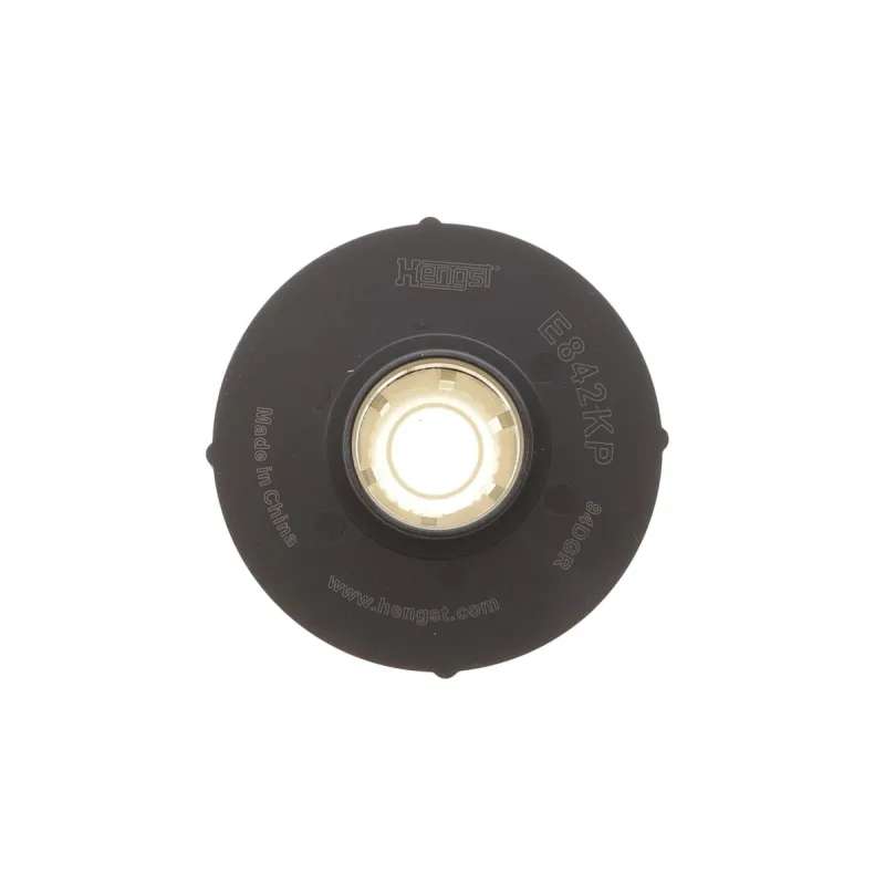 Фільтр паливний HENGST FILTER E842KP D927 для Renault Captur II 2020-, Mercedes-Benz Citan W420 2021-