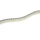 Комплект ГРМ Land Rover Discovery/Range Rover 3.0 TD 09- (20x80z)