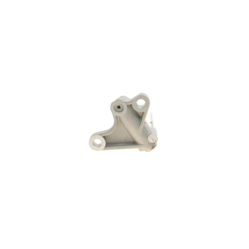 Комплект ланцюга ГРМ Audi A4/A6/A8/Q7/VW Touareg 2.7D/3.0D 03-11 (ланцюг + елементи) (симплекс)
