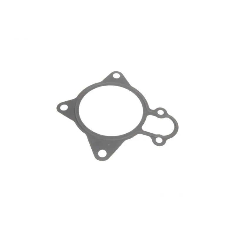 Помпа води HEPU P1203 для Peugeot Boxer, Fiat Ducato 3.0HDI 2006-