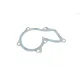 Комплект ГРМ + помпа Ford Mondeo/C-Max/Focus 1.5/1.6 EcoBoost 10-(117x22)(помпа P255)