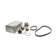 Комплект ГРМ + помпа VW Golf/Caddy III 1.4i 06-10/Skoda Octavia 04-13 (130x20/58x17)