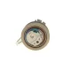Комплект ГРМ + помпа VW T6/Golf/Passat/Caddy 1.6/2.0 TDI 15- (145x25)(помпа P669)