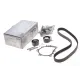 Комплект ГРМ + помпа Citroen C5/C6/C8/Fiat/Ford/Peugeot 2.2HDI 06-