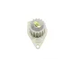 Комплект ГРМ + помпа Citroen Berlingo 1.4i 96-11 (104x17)