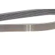 Ремінь генератора Citroen Berlingo/Peugeot Partner 1.6HDi 09- (6PK1020)(замінено 1020 К 6)
