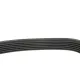 Ремінь генератора VW Caddy/Golf/Passat/T4 1.9 D/TD 96- (6PK1042)