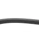 Ремінь генератора Honda Accord V/VI 1.8/2.0/2.2 93-01