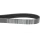 Ремінь генератора Citroen C3/C4/Peugeot 307 1.4-1.6HDi 02-