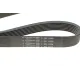 Ремінь генератора BMW 3 (E90)/Opel Movano 2.0i/2.5DTI 03- (7PK1099)