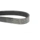 Ремінь генератора Fiat Ducato 2.0 94- /VW Caddy 1.4 04- (6PK1100)