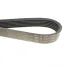 Ремінь генератора Citroen Berlingo/Fiat Ducato 1.8/1.9D /Citroen Jumper 3.0HDI 96- (6PK1160)