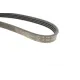Ремінь генератора Renault Clio/Kangoo 1.4i/1.6 98-03 (4PK1237)