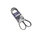 Ремінь генератора HUTCHINSON 1270 K 5 для Mercedes-Benz A-Class W168, Renault Megane I 1.6 1996-2003, 1270 мм, 5 ребер