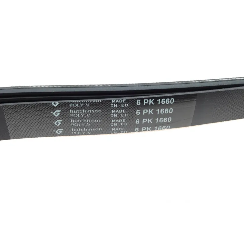 Ремінь генератора Fiat Scudo/Citroen Berlingo/VW Golf IV 1.8/1.9TDI 97- (6PK1660)