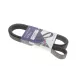 Ремінь генератора Renault Megane II 2.0 dCi 05-09 (7PK1705)