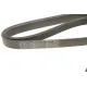 Ремінь генератора Citroen Berlingo/Peugeot Partner 1.6HDI/Fiat Scudo 1.6D (6PK1710)