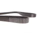 Ремінь генератора BMW 5 (E39)/Opel Omega B 2.5TD 94-03 (5PK1815)