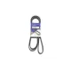 Ремінь генератора Toyota Camry/Land Rover 3.5i/4.0/4.6 81-