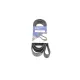 Ремінь генератора Kia Sorento 2.5 CRDI 06-/Land Rover Discovery/Range Rover 88-04
