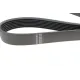 Ремінь генератора Kia Sorento 2.5 CRDI 06-/Land Rover Discovery/Range Rover 88-04