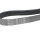 Ремінь генератора Honda Accord 2.2 i-CDTi 04-08 (7PK2264)