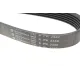 Ремінь генератора HUTCHINSON 2430 K 6 для Jeep Cherokee KK 2008-, Dodge Nitro 2007- 2.8 CRD, 6PK2430