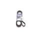 Ремінь генератора Jeep Cherokee 2.8 CRD 08- (6PK2433)