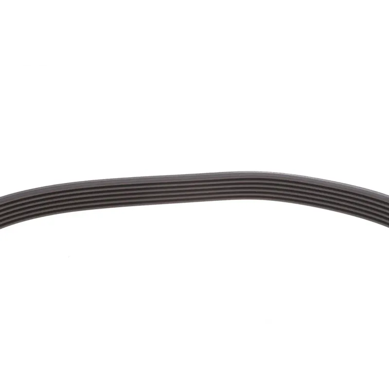 Ремінь генератора Citroen Berlingo/Fiat Ducato 1.9 D/TD 96-03 (6PK730)