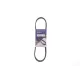 Ремінь генератора Citroen Berlingo/Fiat Ducato 1.9 D/TD 96-03 (6PK730)