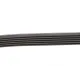 Ремінь генератора Citroen C4/Peugeot 307 1.6HDi 04- (6PK780)