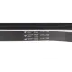 Ремінь генератора Citroen Berlingo/Peugeot Expert/Partner 1.6 BlueHDi 02-