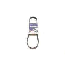 Купити Ремінь генератора Citroen Berlingo/Fiat Ducato 1.8/1.9D /Citroen Jumper 3.0HDI 96- (6PK1160) | KovelAutoHub