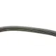 Ремінь генератора BMW 3 (E46)/X3 (E83) 01-07 M47 D20/Fiat Stilo 1.6 16V 01-08