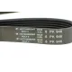 Ремінь генератора Fiat Ducato 2.5/2.8 JTD 97-02 (6PK946)