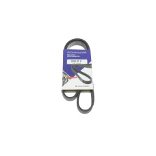 Ремінь генератора Fiat Scudo 2.0 JTD 99-06 (5PK968)