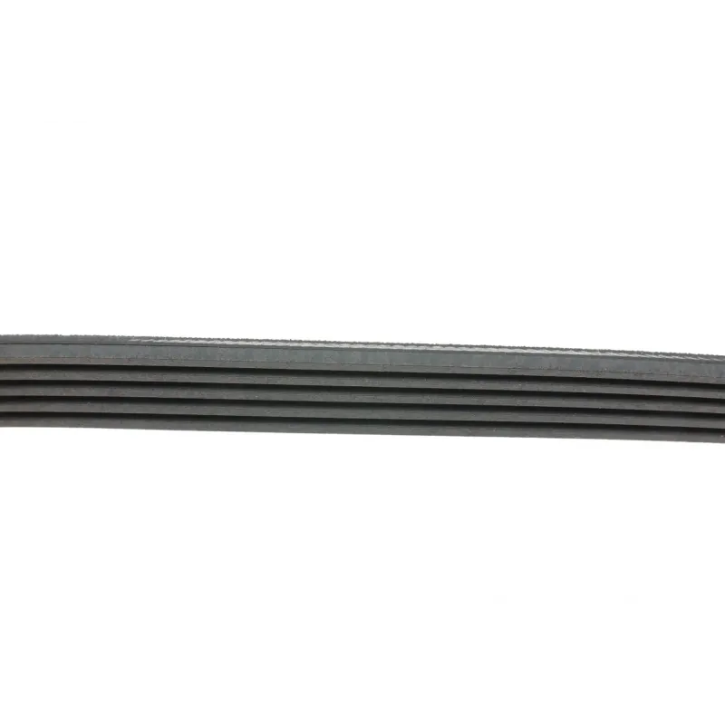 Ремінь генератора Fiat Scudo 2.0 JTD 99-06 (5PK968)