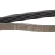 Ремінь генератора Fiat Scudo 2.0 JTD 99-06 (5PK970)