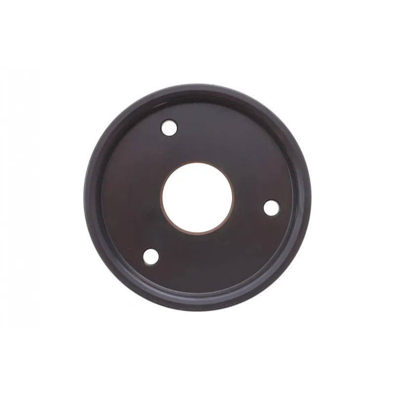 Шків насосу ГПК Renault Kangoo 1.9D/dCi (d=93mm) (6PK)
