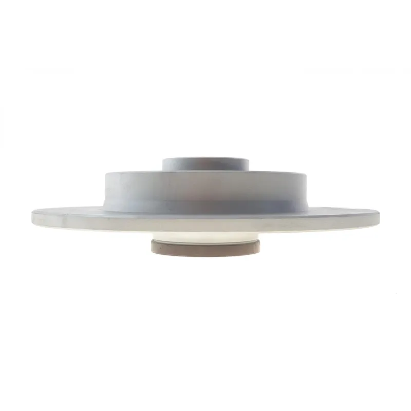 Диск гальмівний (задній) Citroen C3 09-/C4/Peugeot 307/207 04-/208 12- (249х9 (+ABS) (з підшипником)