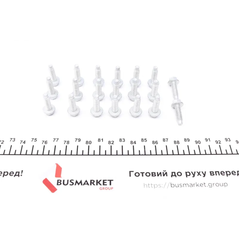 Комплект ланцюга ГРМ Citroen Berlingo/Peugeot Partner 1.6 VTi 09- (ланцюг, натяжник, фазорегулятор)